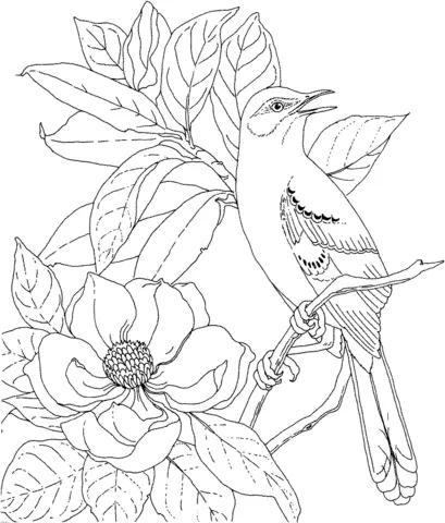 Magnolia Coloring Pages 3