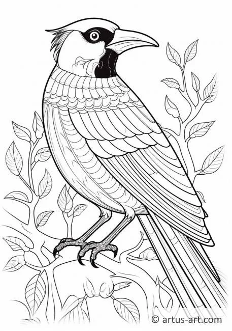 Urraca Para Colorear 10