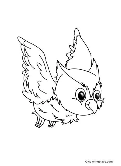 Urraca Para Colorear 24