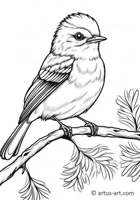 Urraca Para Colorear 28