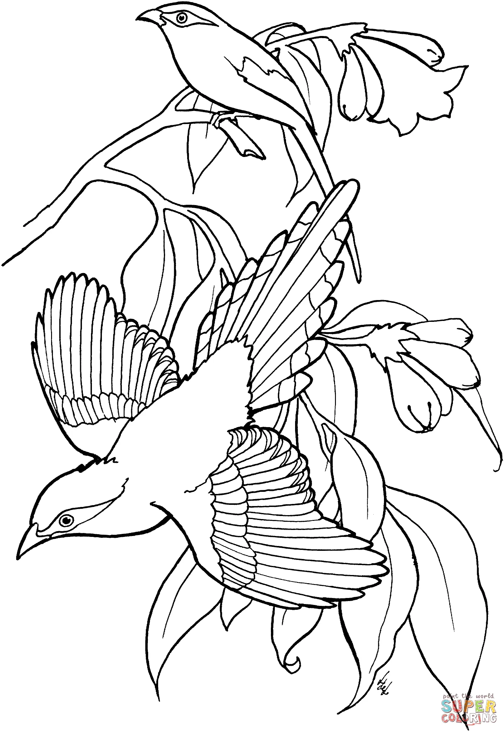 Urraca Para Colorear 3
