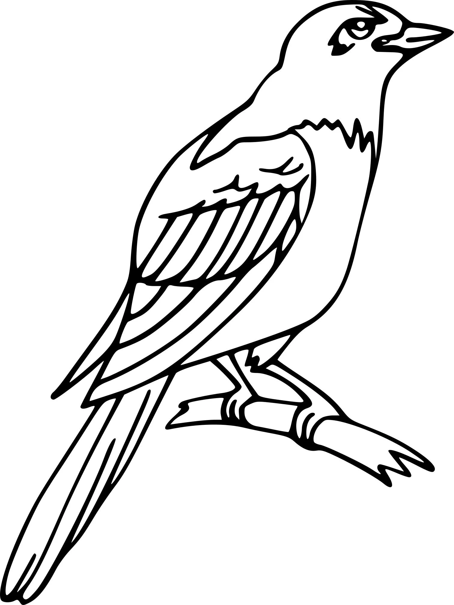 Urraca Para Colorear 8