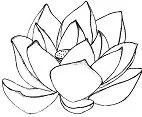 Mandala Coloring Pages 113