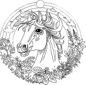 Mandala Coloring Pages 13