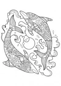 Mandala Coloring Pages 146