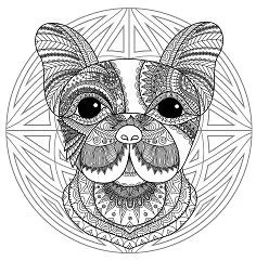 Mandala Coloring Pages 198