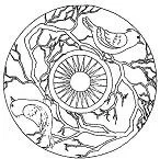 Mandala Coloring Pages 216