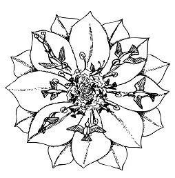 Mandala Coloring Pages 220