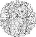 Mandala Coloring Pages 29
