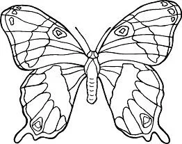 Mandala Coloring Pages 72