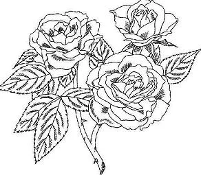 Mandala Coloring Pages 88