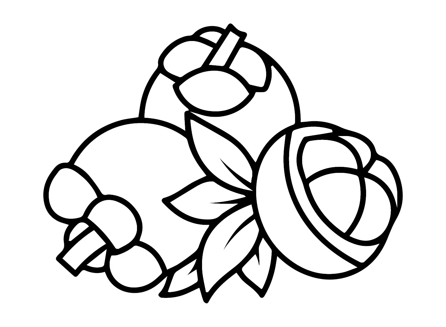 Mangostan Para Colorear 9