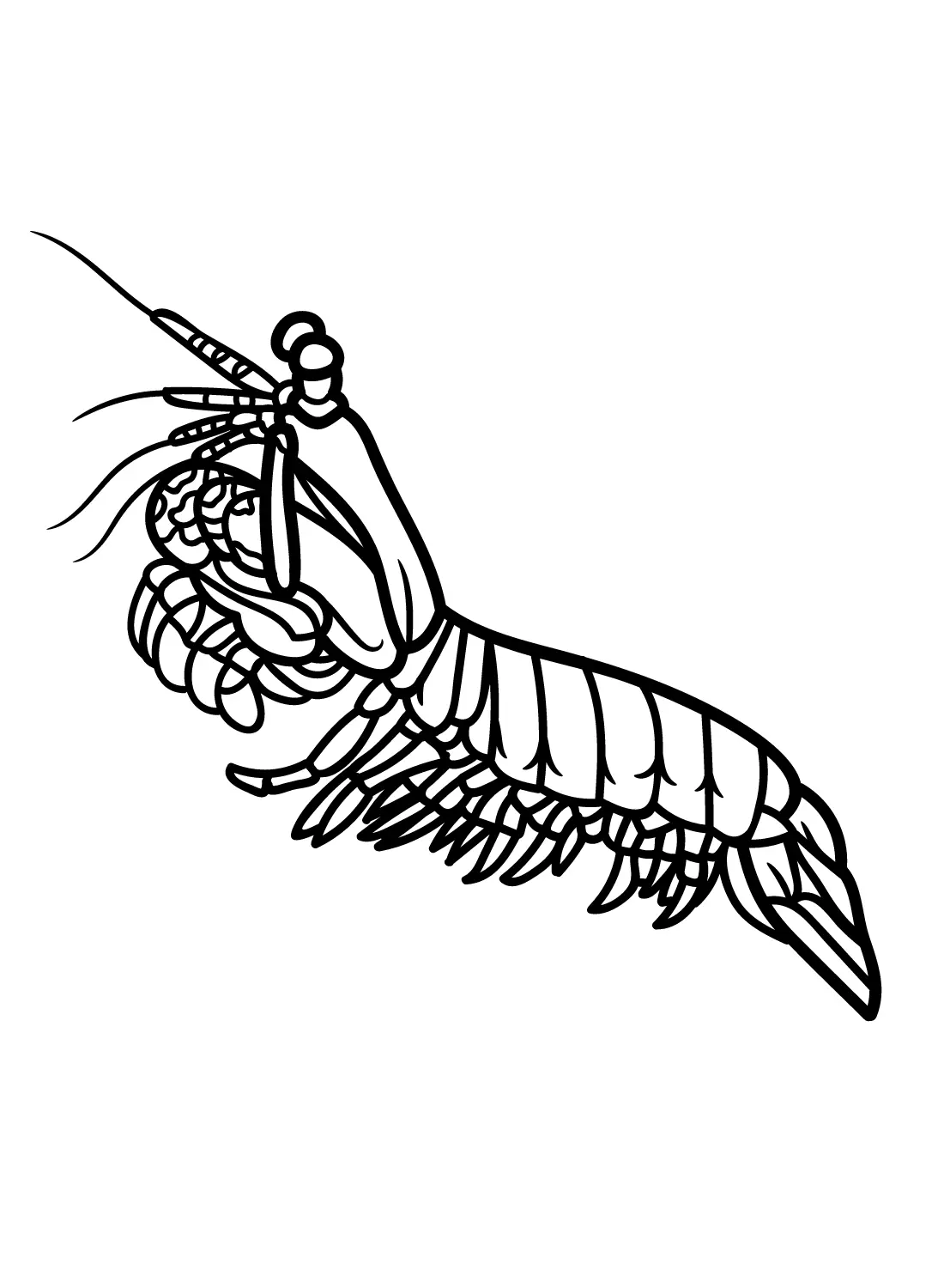 Desenhos de Camarao Mantis Para Colorir 2