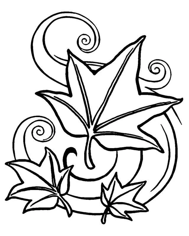 Maple Leaf Coloring Pages 17