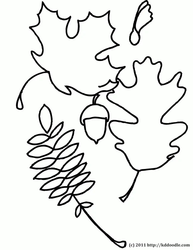 Maple Leaf Coloring Pages 4