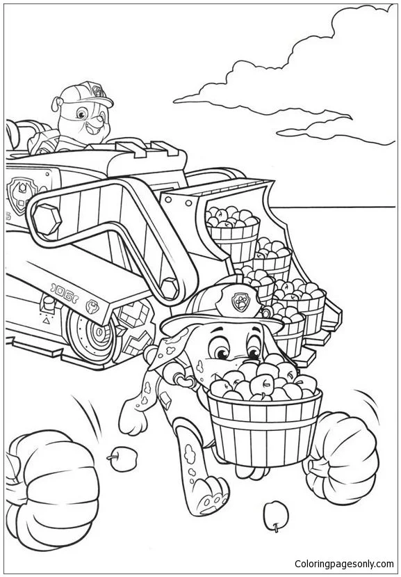 Marshall Paw Patrol Coloring Pages 43