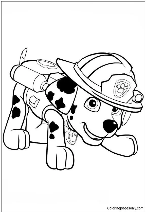 Marshall Paw Patrol Coloring Pages 46