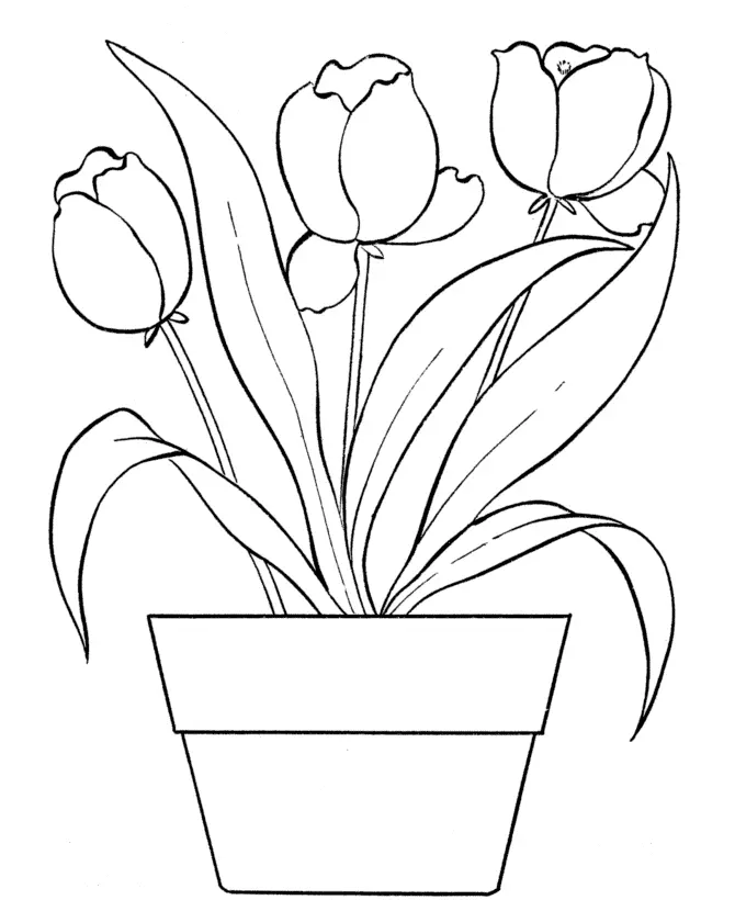 May Coloring Pages 23