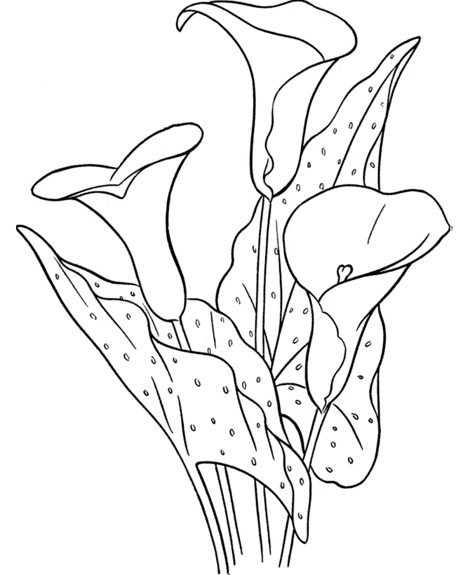 May Coloring Pages 28