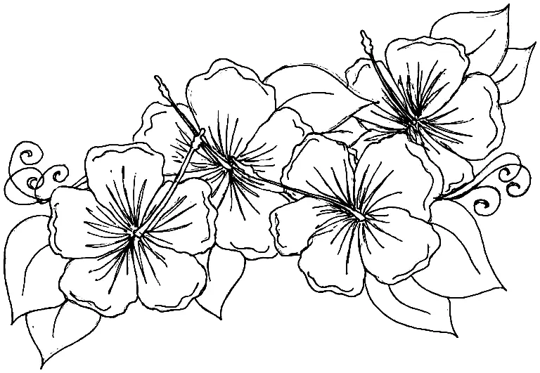 May Coloring Pages 6
