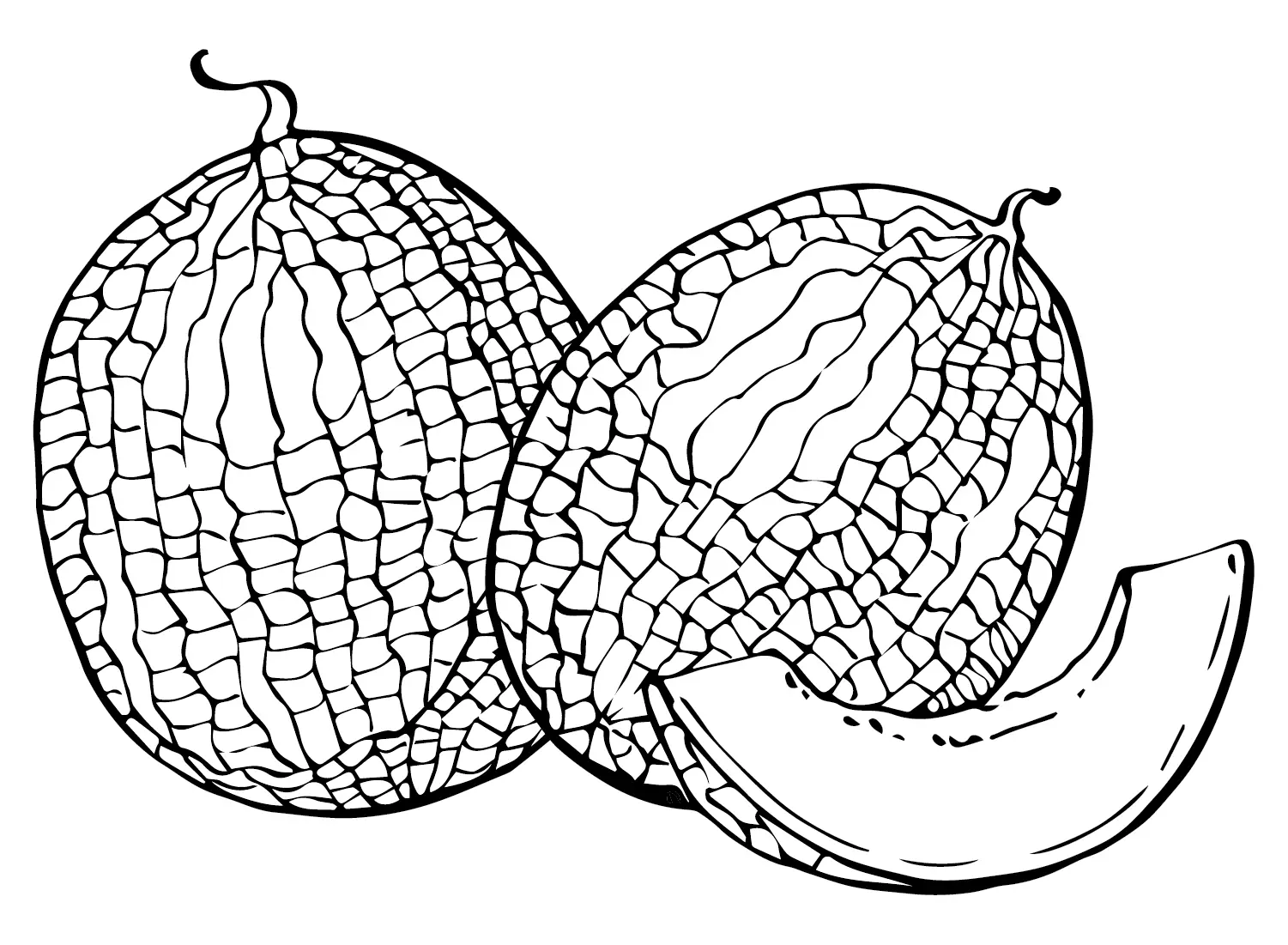 Melonen Ausmalbilder 11
