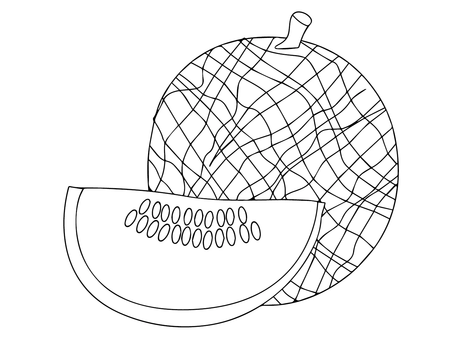 Melonen Ausmalbilder 12