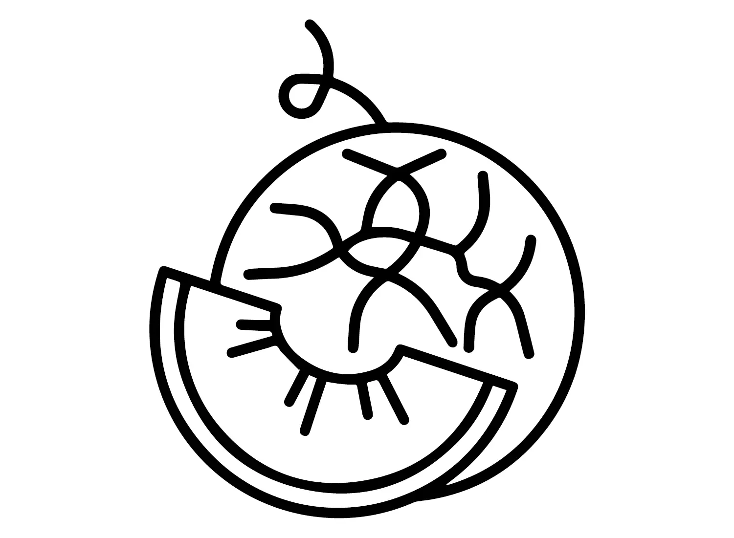 Melonen Ausmalbilder 15
