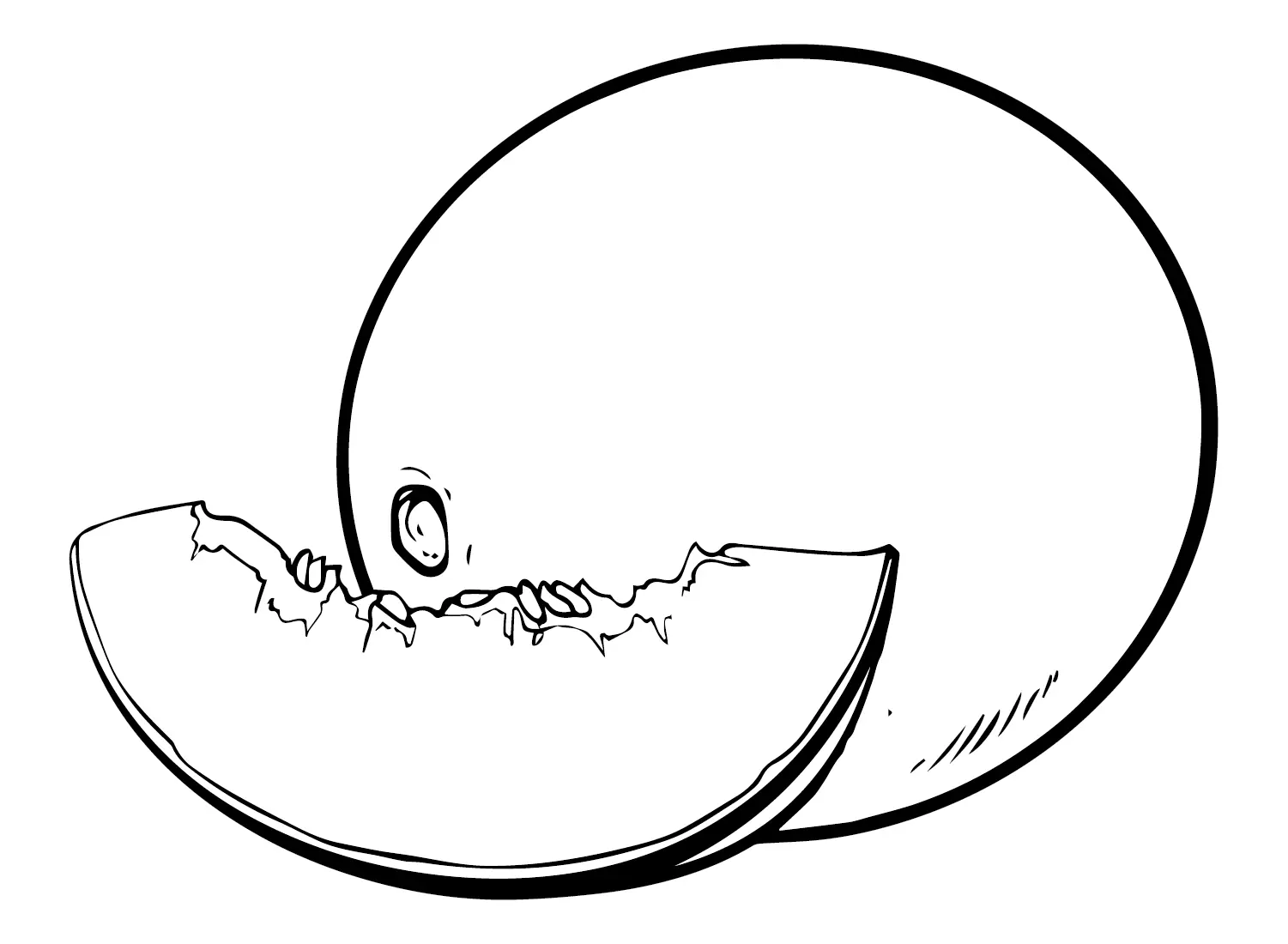 Melonen Ausmalbilder 19