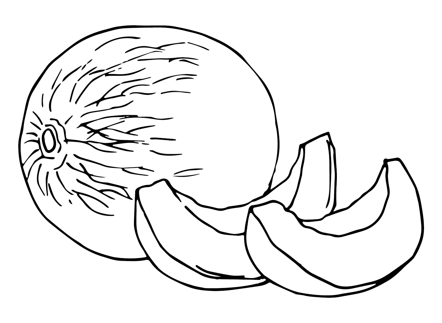 Melonen Ausmalbilder 9