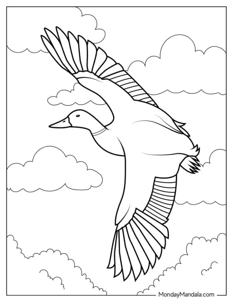 Migracion Para Colorear 10
