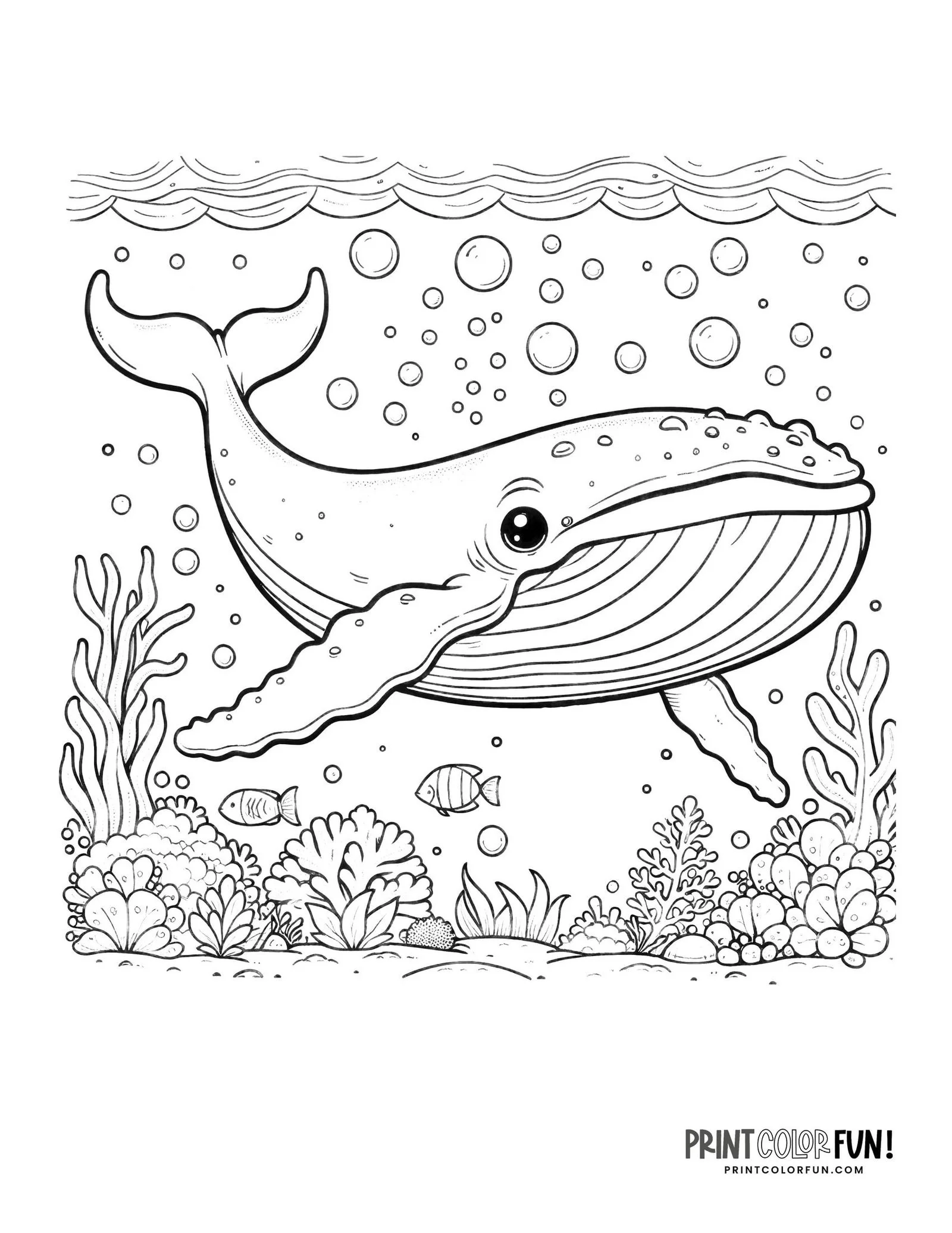 Migracion Para Colorear 19