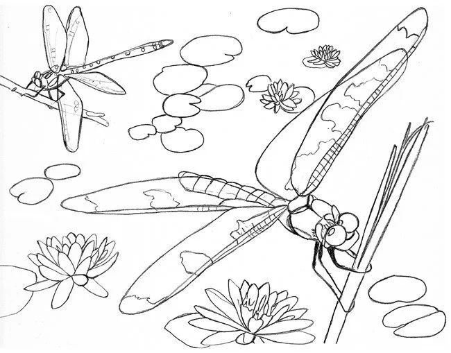 Migracion Para Colorear 20