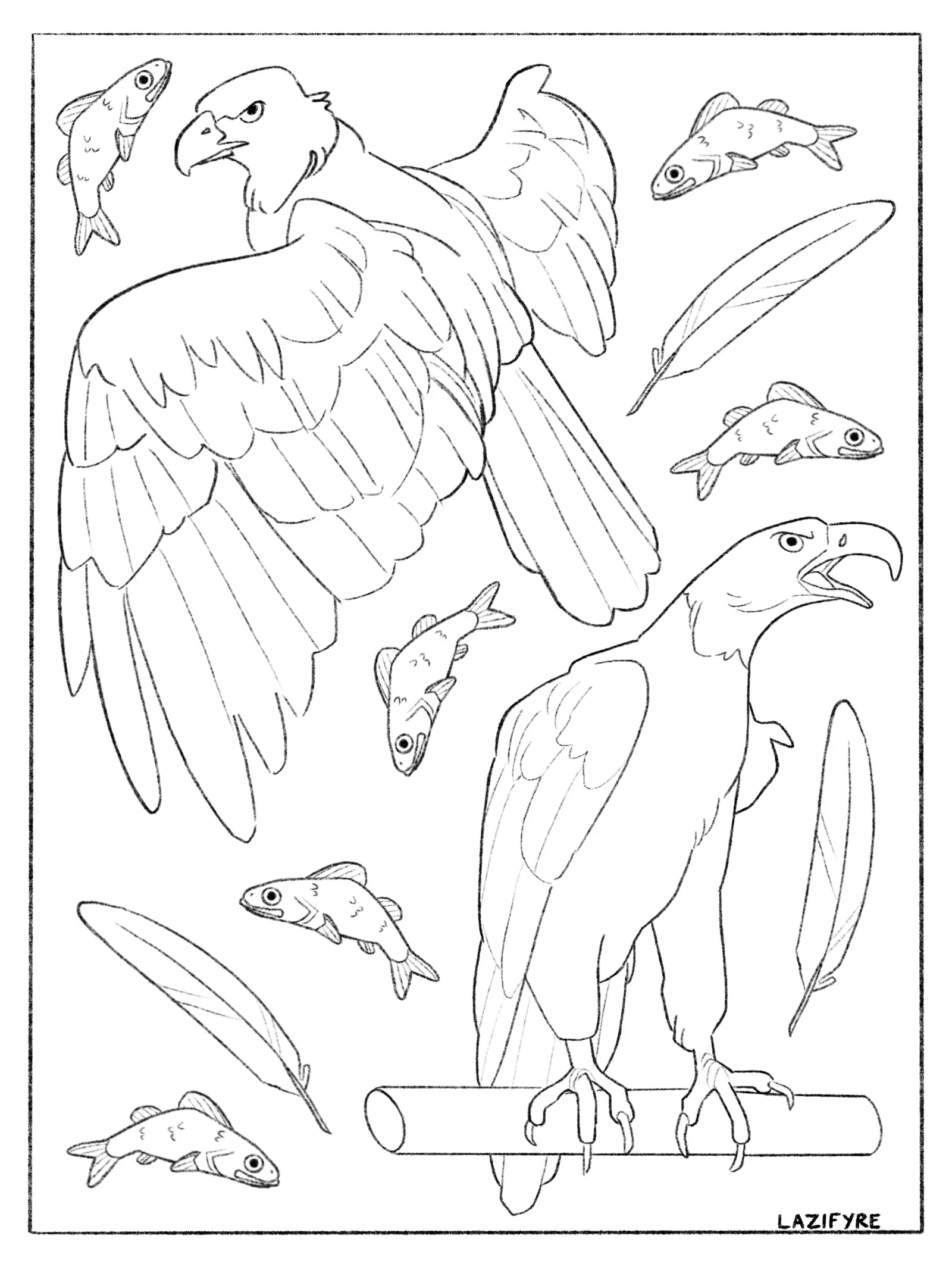 Migracion Para Colorear 21