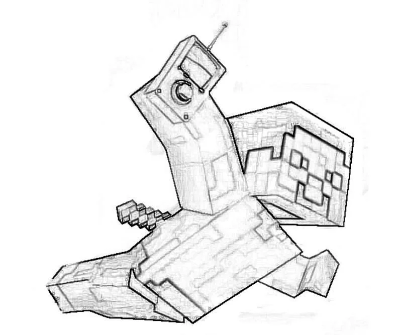 Desenhos de Minecraft Para Colorir 21