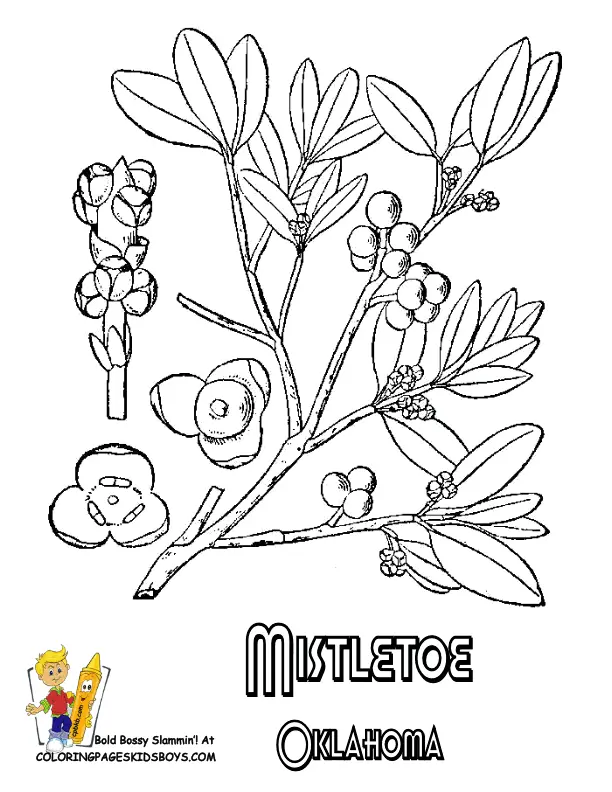 Desenhos de Visco Para Colorir 7