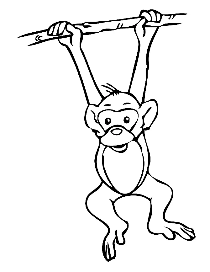 Desenhos de Monkey Para Colorir 10