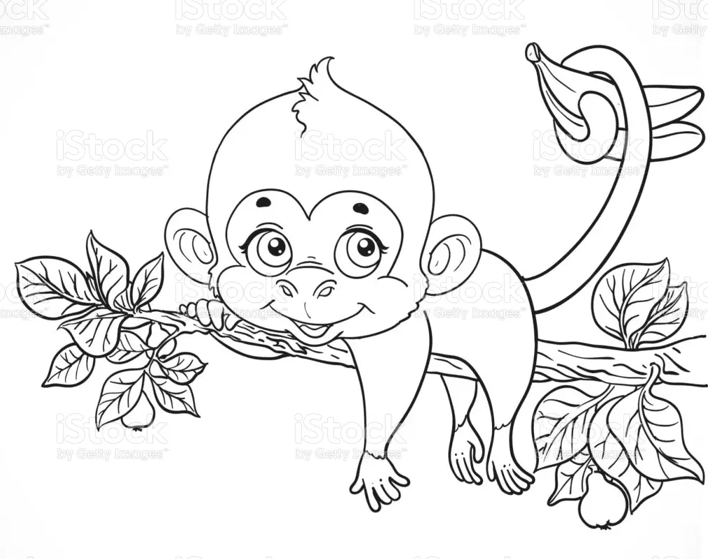 Desenhos de Monkey Para Colorir 9
