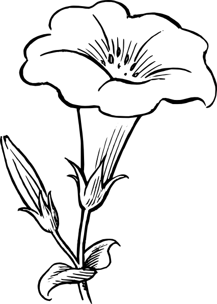 Morgenglanz Ausmalbilder 17