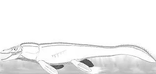 Mosasaur Coloring Pages 10