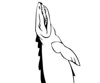 Mosasaur Coloring Pages 12