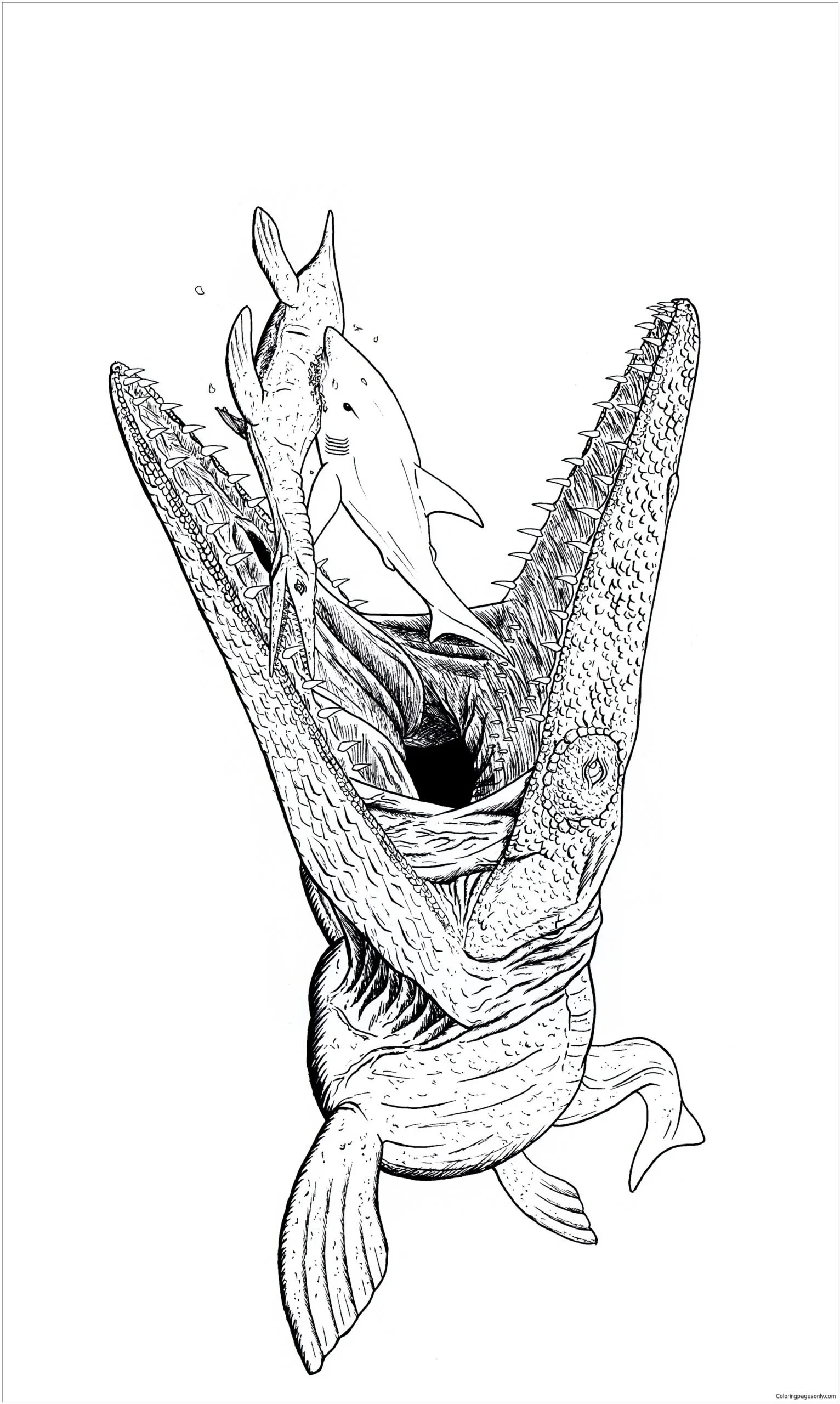 Mosasaur Coloring Pages 6