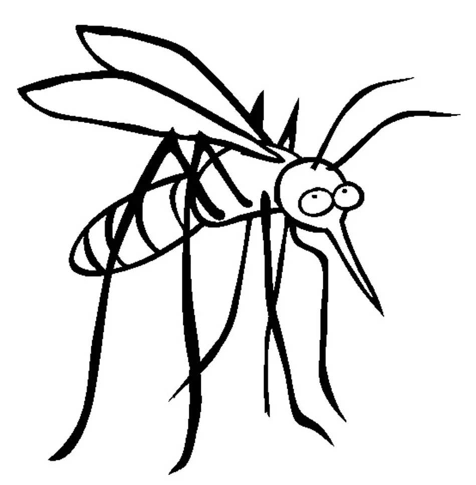 Desenhos de Mosquito Para Colorir 16