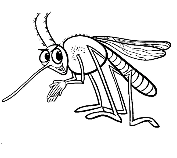 Desenhos de Mosquito Para Colorir 20