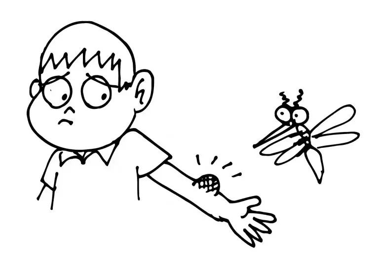 Desenhos de Mosquito Para Colorir 24