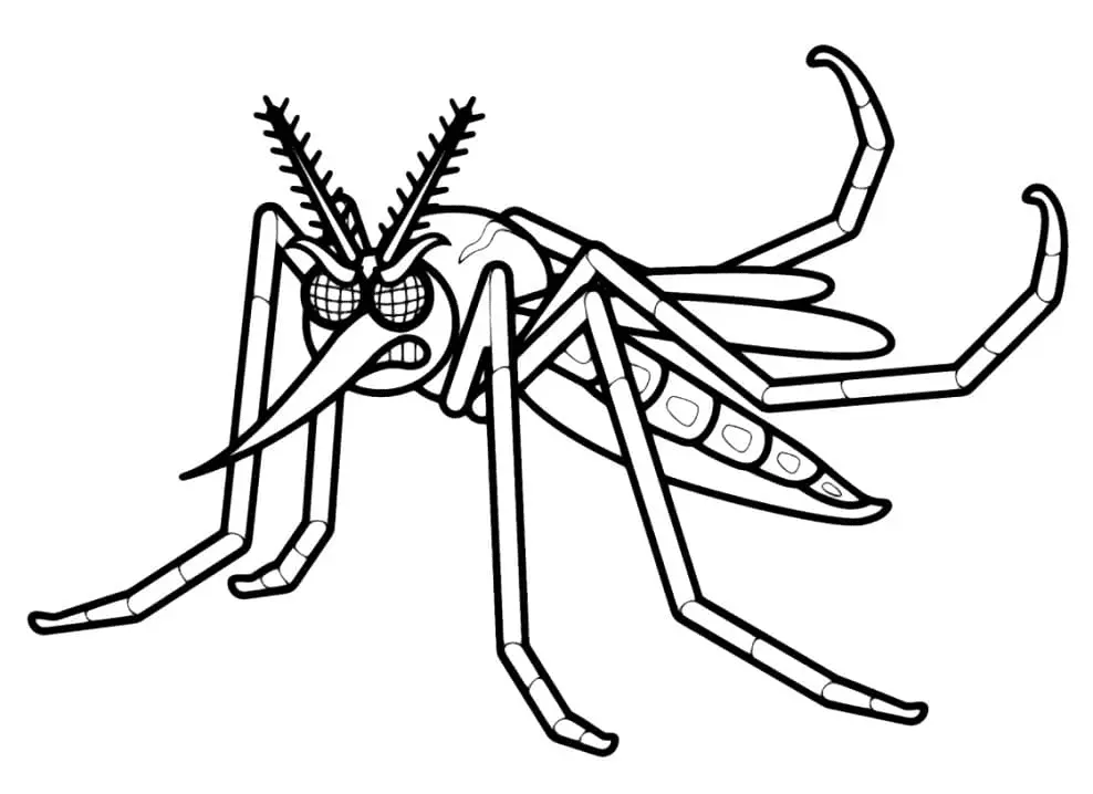Desenhos de Mosquito Para Colorir 25