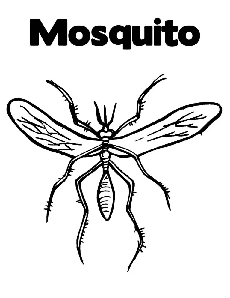 Desenhos de Mosquito Para Colorir 26