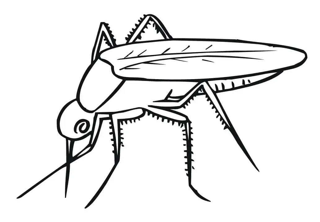 Desenhos de Mosquito Para Colorir 27
