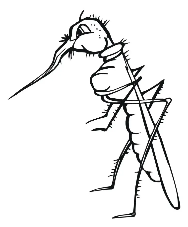 Desenhos de Mosquito Para Colorir 30