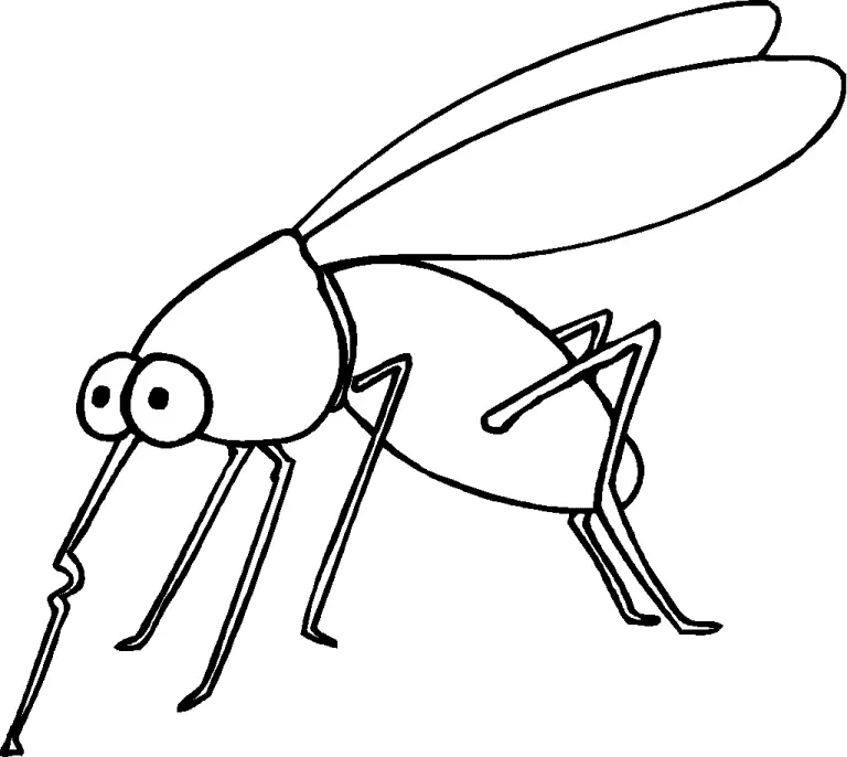 Desenhos de Mosquito Para Colorir 31
