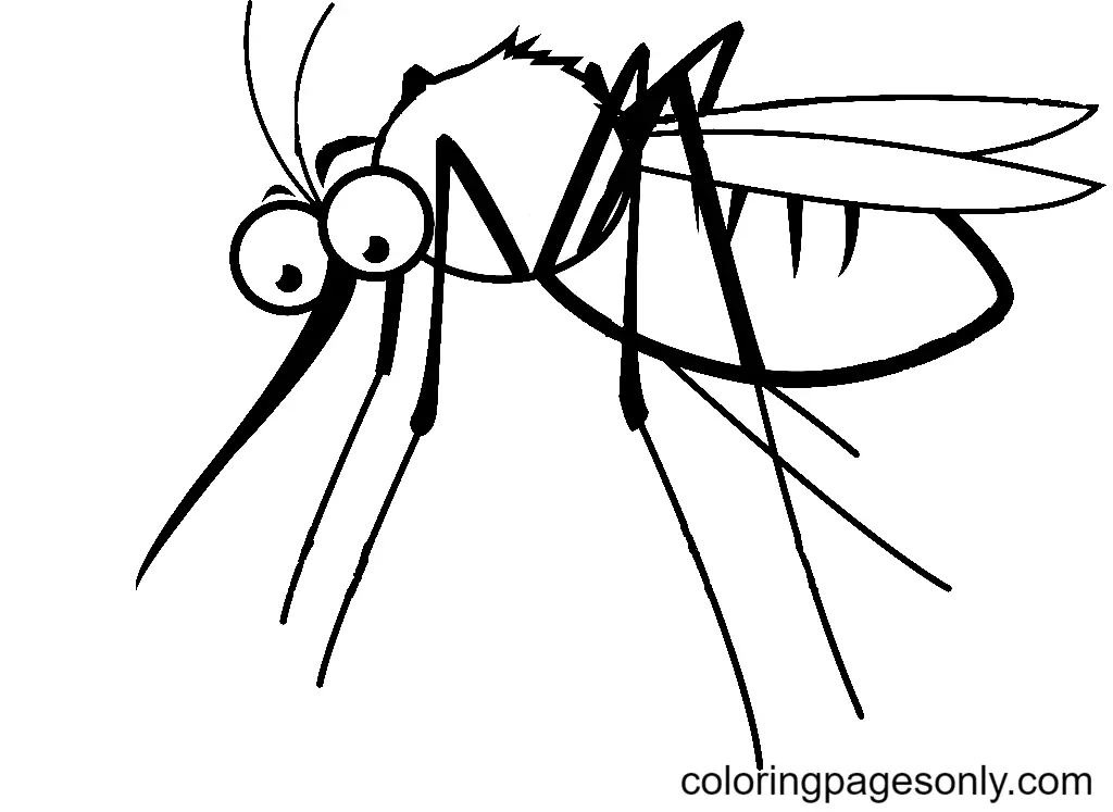 Desenhos de Mosquito Para Colorir 4